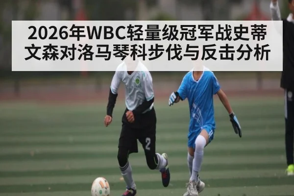 2026年WBC轻量级冠军战史蒂文森对洛马琴科步伐与反击分析